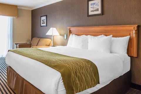 Comfort Inn Inn in Brockville