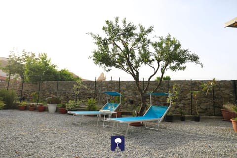 Garden, Garden view
