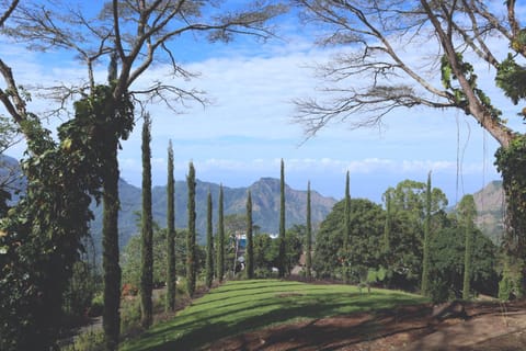 Natural landscape