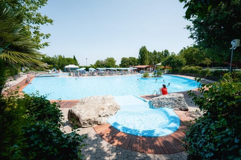 Natural landscape, Summer, Swimming pool