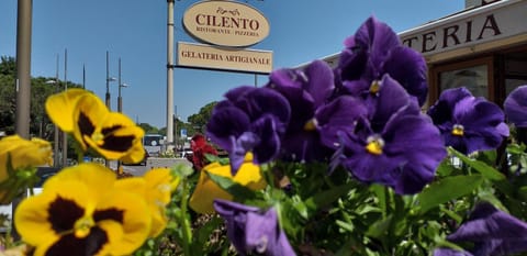 Restaurant/places to eat, Facade/entrance, Other, Street view