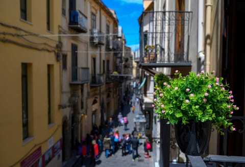 City view, Street view