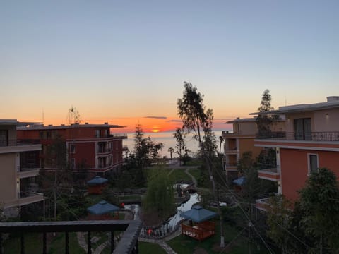 Neighbourhood, Sea view, Sunset
