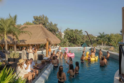 Day, People, Pool view, Swimming pool, Time of day