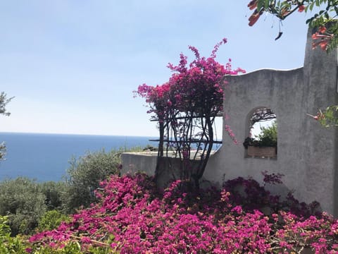 Property building, Sea view