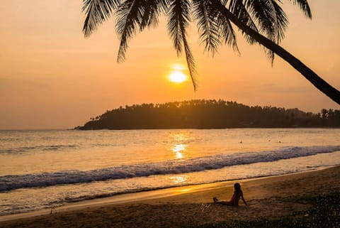 Natural landscape, Beach, Sunset