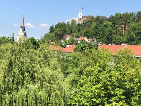 Landmark view
