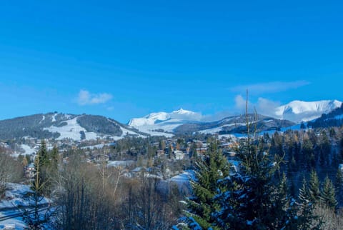 Close to the village - Chalet 4 Bedrooms, Mont-Blanc View Chalet in Megève