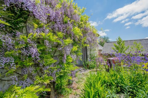 The Rose Barn, Ysgubor y Rhosyn House in Wales