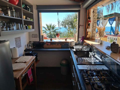 Communal kitchen, kitchen