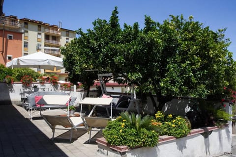 Patio, Spring, Day, Garden, Garden view, sunbed