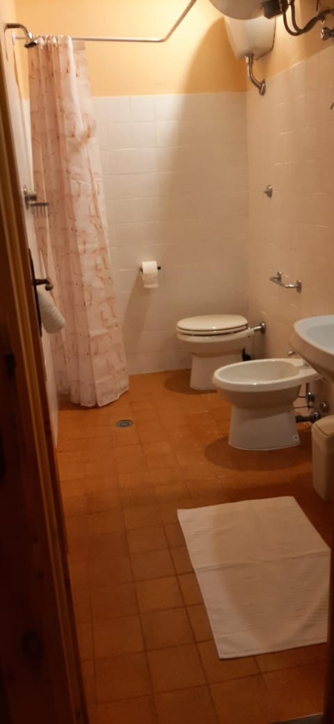 Shower, Toilet, Bathroom, bidet