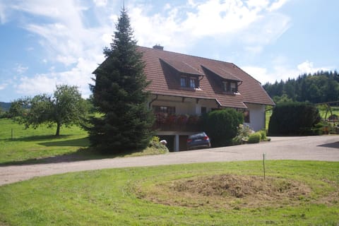 Ferienwohnung Apartment in Lahr