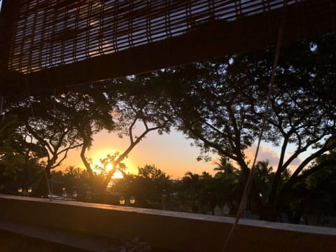 Garden view, Sunset