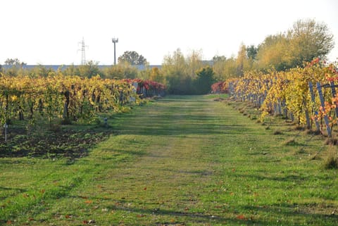 Alloggio Cantalupo Farm Stay in Emilia-Romagna