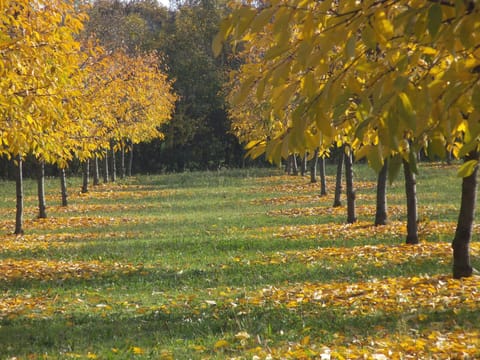 Alloggio Cantalupo Farm Stay in Emilia-Romagna