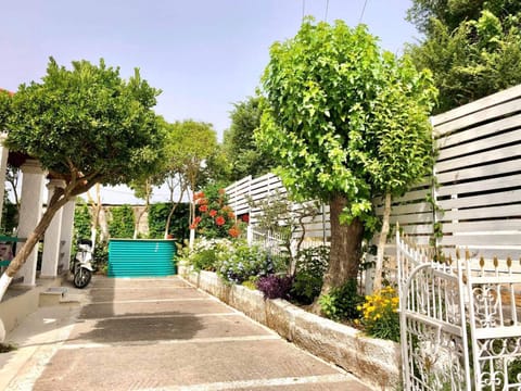 Spring, Garden view