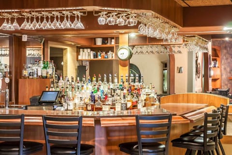 Lounge or bar, Food and drinks, On site, Drinks, Alcoholic drinks, Non alcoholic drinks