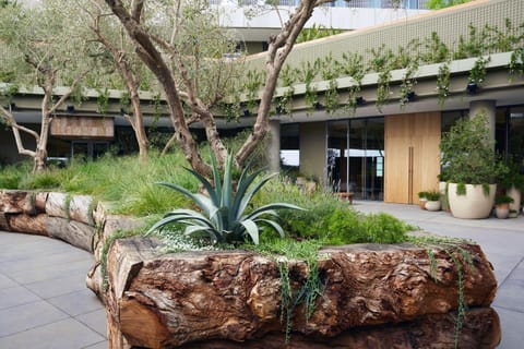 Facade/entrance, Garden, Garden