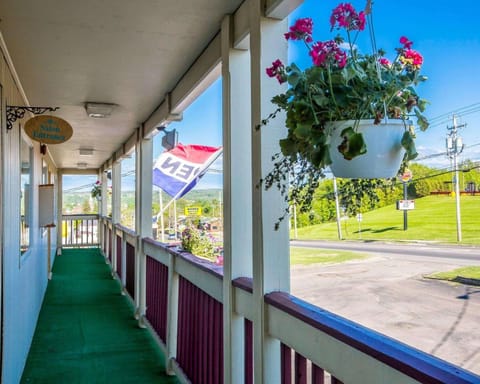 Property building, On site