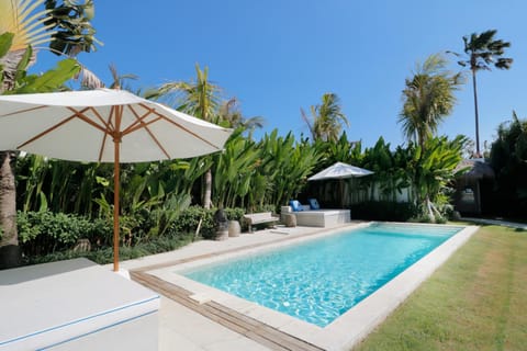 Garden, Pool view, Swimming pool