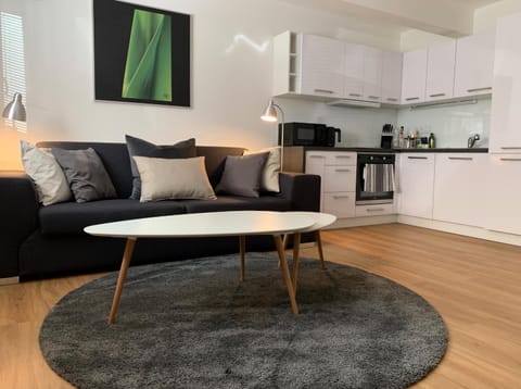 Kitchen or kitchenette, Living room, Seating area, oven, stove