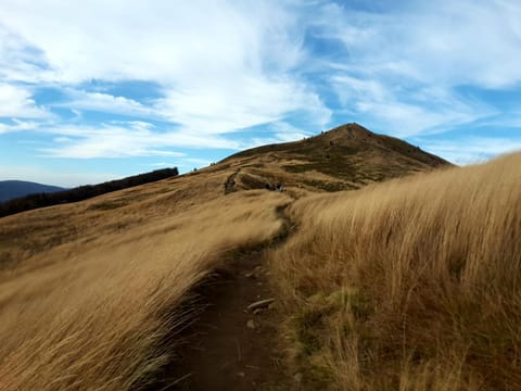 Natural landscape, Hiking