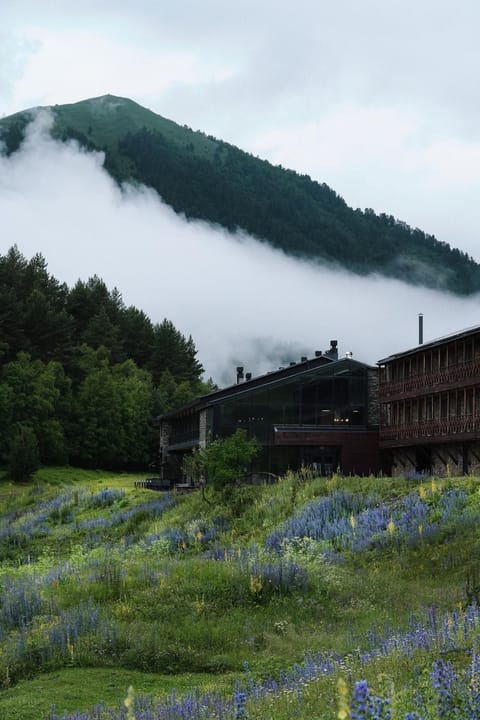 Spring, Day, Natural landscape, Mountain view