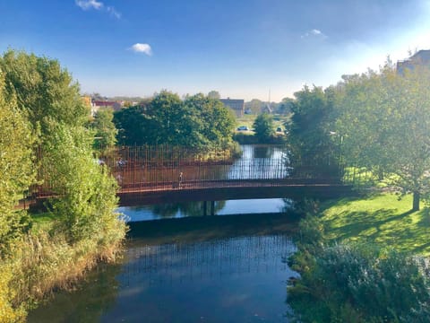 Natural landscape, River view