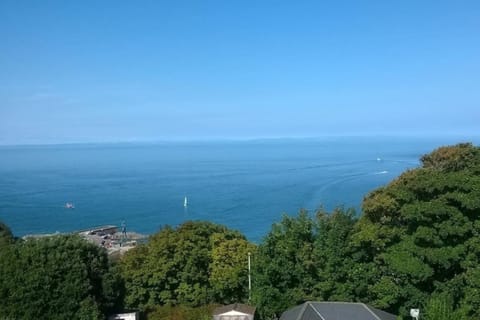 Sea View Ultimate Boutique escape! House in Ilfracombe