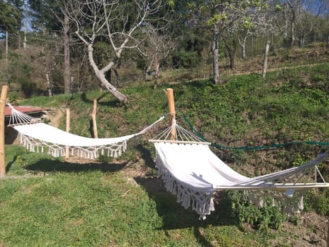 BORGO VERDE Villa in Umbria