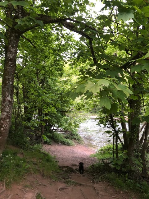 Symonds Yat - Herefordshire property with stunning views House in Forest of Dean