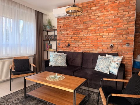 Living room, Photo of the whole room, Seating area, air conditioner