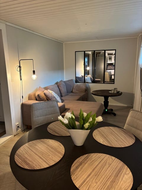 Living room, kitchen