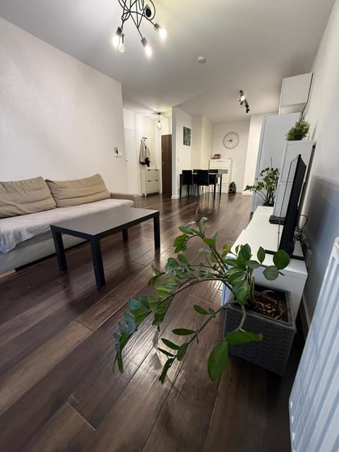 Communal lounge/ TV room, TV and multimedia, Living room, Seating area