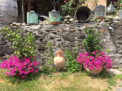 Casa immersa nel vigneto Apartment in Canton of Ticino