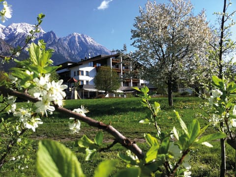 Facade/entrance, Garden