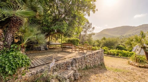 Garden, Garden view, Mountain view