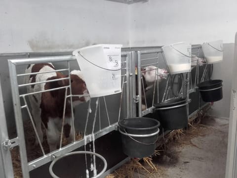 Öderbauer-Hof Farm Stay in Berchtesgadener Land