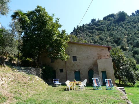 Property building, Patio, Garden