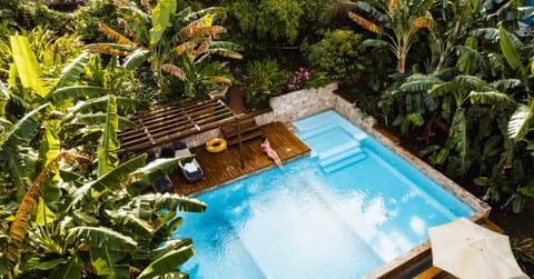 Garden, Pool view, Swimming pool