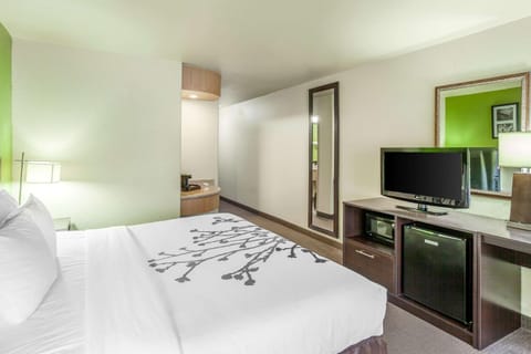 Photo of the whole room, On site