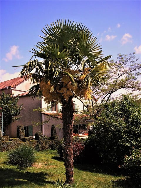 Spring, Garden