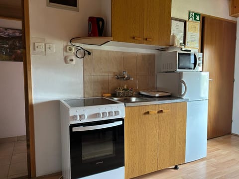 Kitchen or kitchenette, minibar, pet friendly, stove