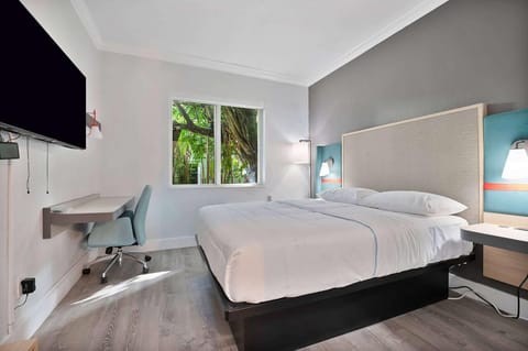 Communal lounge/ TV room, Bed, TV and multimedia, Photo of the whole room, hair dresser