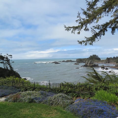 Sea view