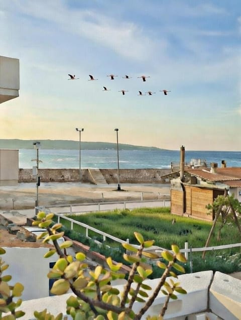 Day, Natural landscape, Beach, Sea view