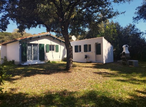 Property building, Garden view