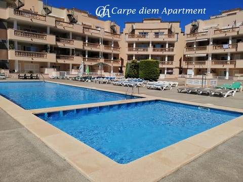Solarium, Garden view, Pool view, Swimming pool, sunbed