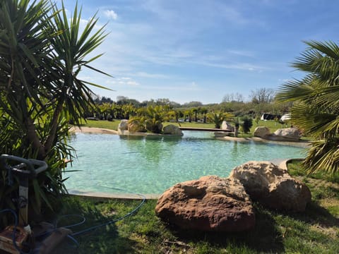 Swimming pool, Swimming pool